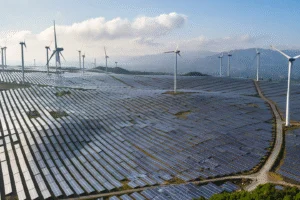 Apple Expands Green Energy Investments Across Europe and China with New Renewable Projects - Professional coverage