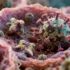 HIV’s Tissue-Specific Hiding Strategy Uncovered in Historic Sample Study