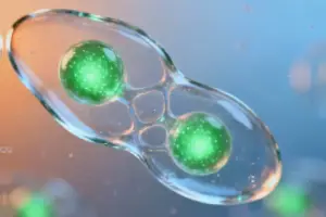 Boosting CAR T Cell Potency: Membrane-Tethered SLP-76 Tackle - Overcoming a Critical Hurdle in CAR T Cell Therapy Chimeric an