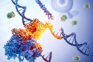 Rewriting the rules of genetics: Study reveals gene boundaries are dynamic, not fixed - Professional coverage
