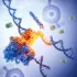 Rewriting the rules of genetics: Study reveals gene boundaries are dynamic, not fixed