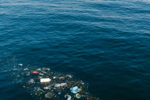 To solve marine plastic pollution, experts say production and consumption patterns must change funda - Professional coverage