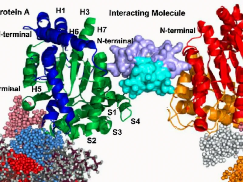 New Targeted Glue Technology Opens Doors to "Undruggable" Pr - According to Nature, researchers have developed a novel target