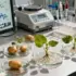Unbiased Proteomics Platform Maps Electrophile Selectivity Across Entire Proteome